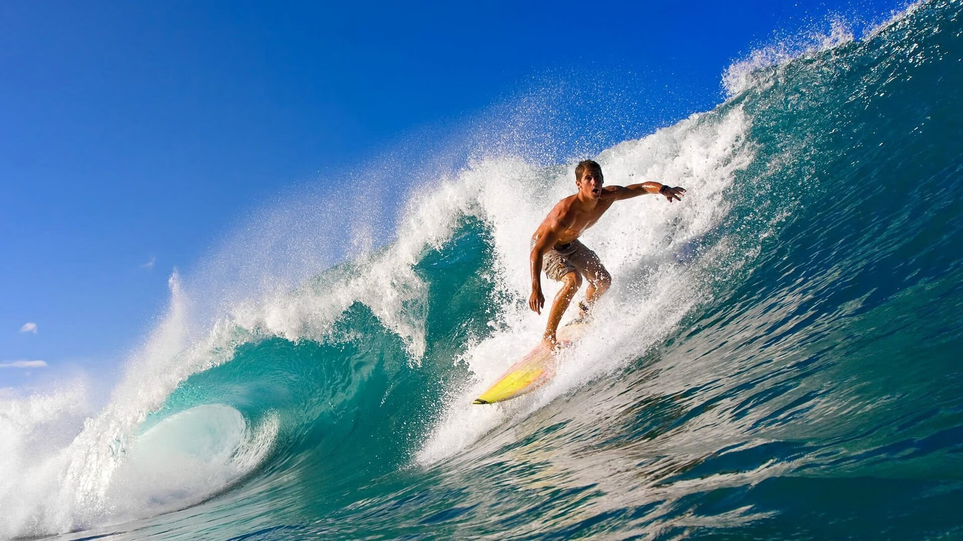 【未来比赛预测】根据数据和表现推断季后赛走向，季后赛大预言家